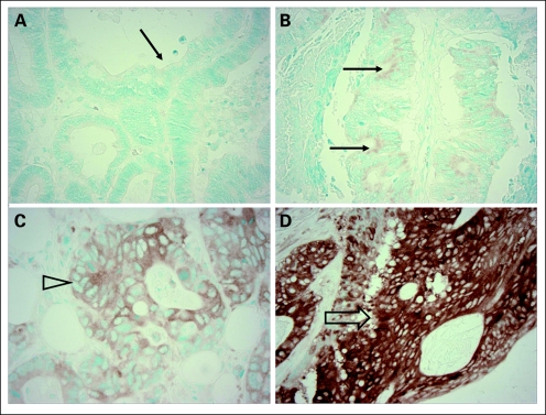 Fig 1.