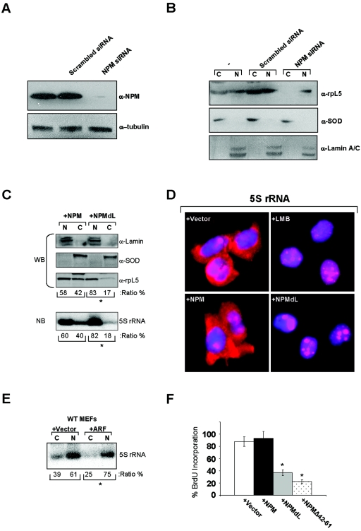 FIG. 8.