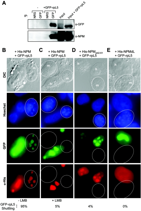 FIG. 7.