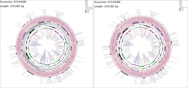 Fig 10