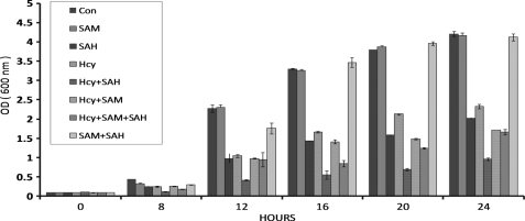 FIGURE 2.