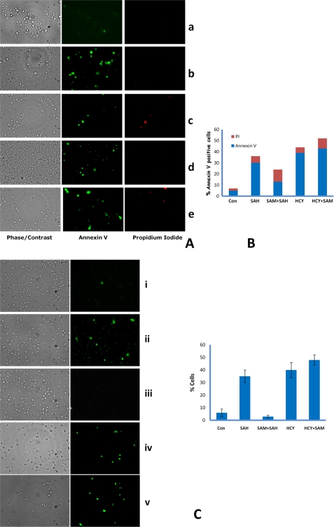 FIGURE 10.