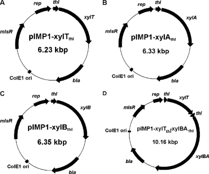 Fig. 1.