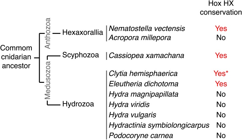 Figure 10.