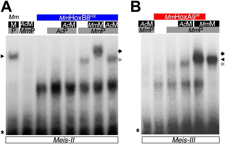 Figure 9—figure supplement 1.