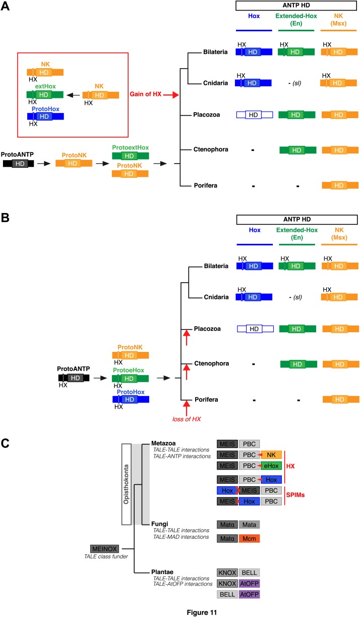 Figure 11.