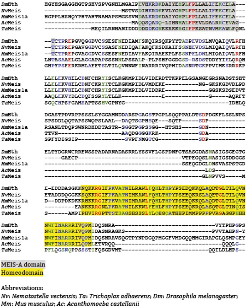 Figure 2—figure supplement 2.