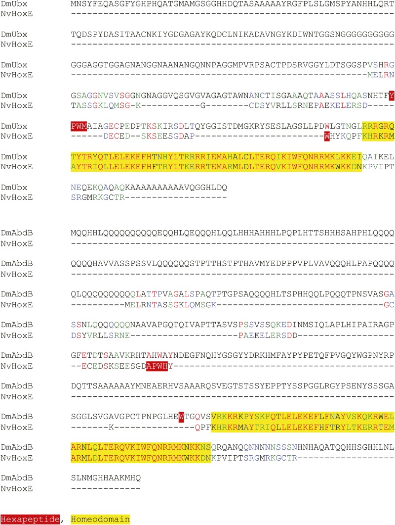 Figure 2—figure supplement 4.