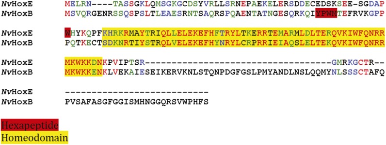 Figure 4—figure supplement 1.