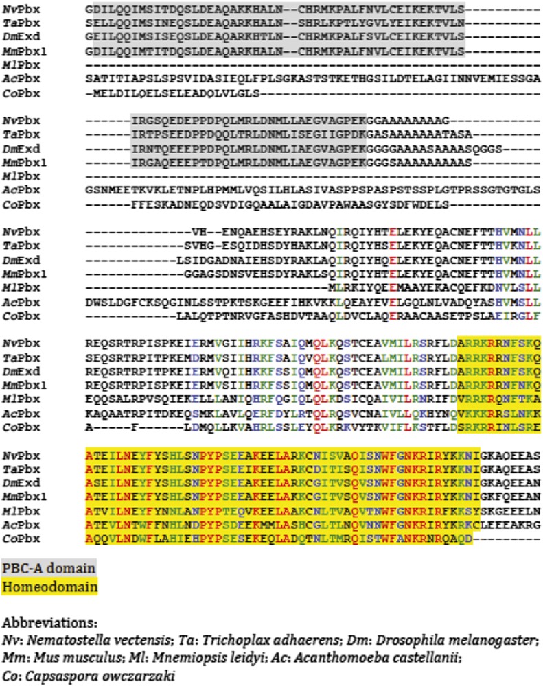 Figure 2—figure supplement 1.