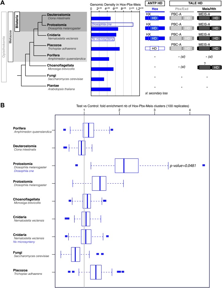 Figure 5—figure supplement 1.