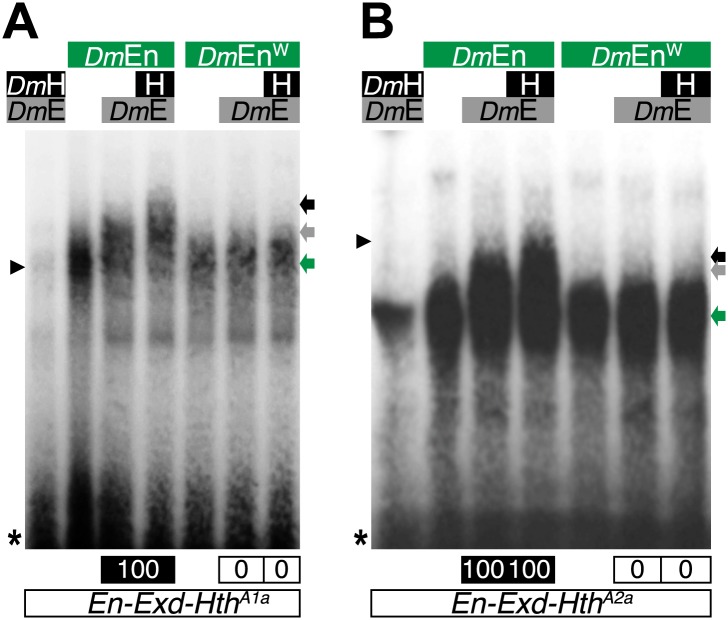 Figure 8—figure supplement 1.