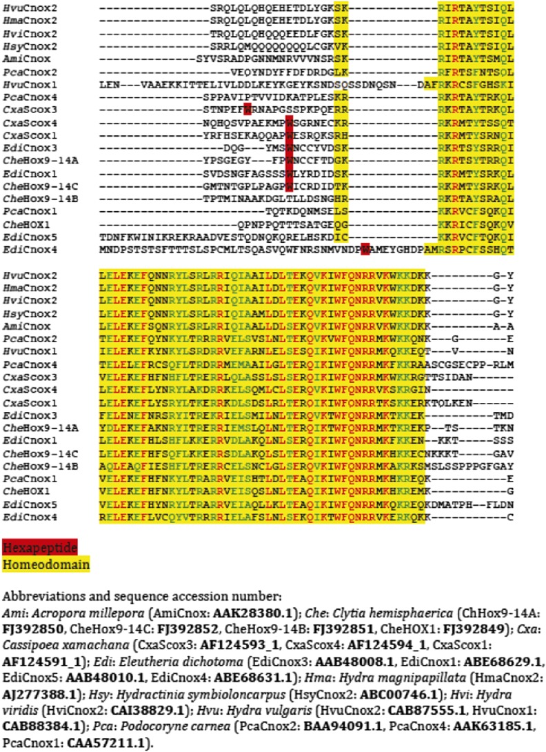 Figure 10—figure supplement 1.