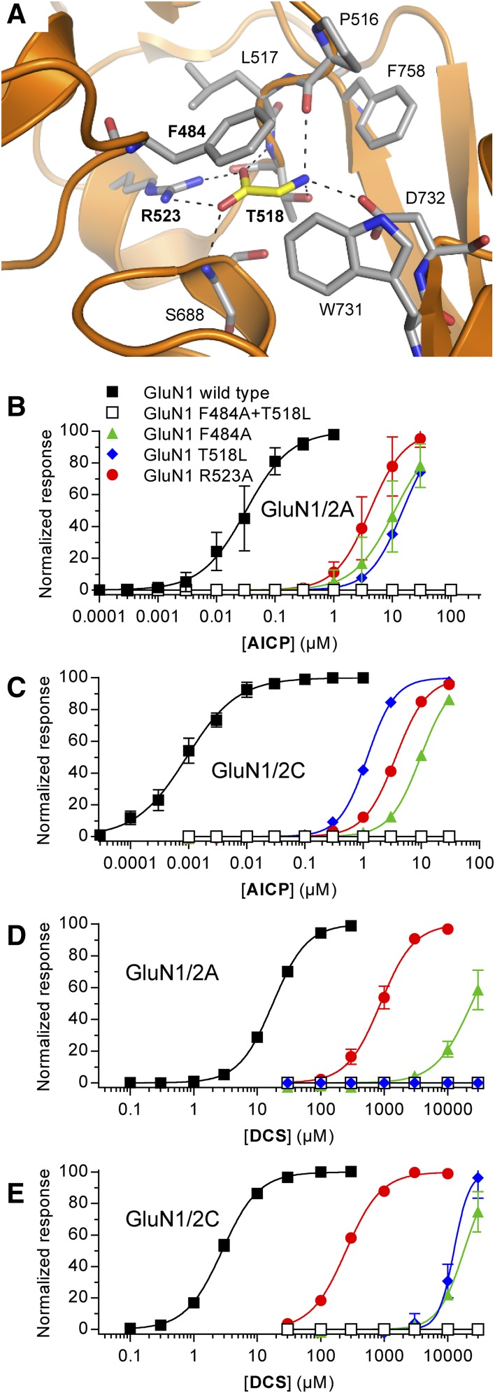 Fig. 3.