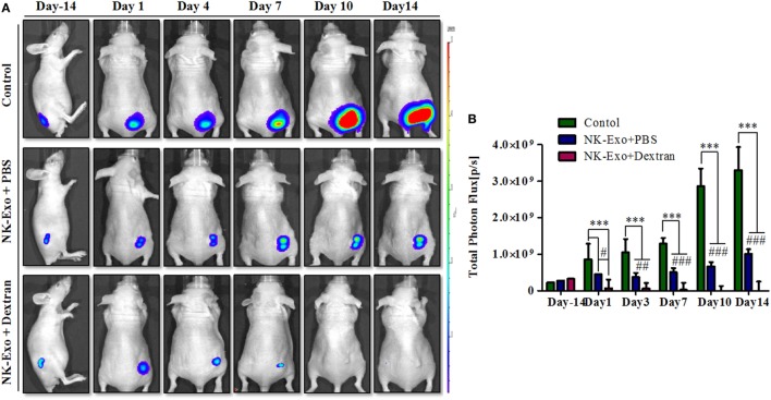 Figure 10