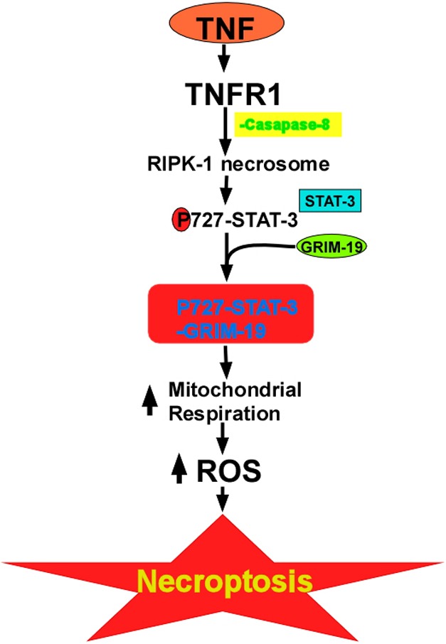 Fig. 9.