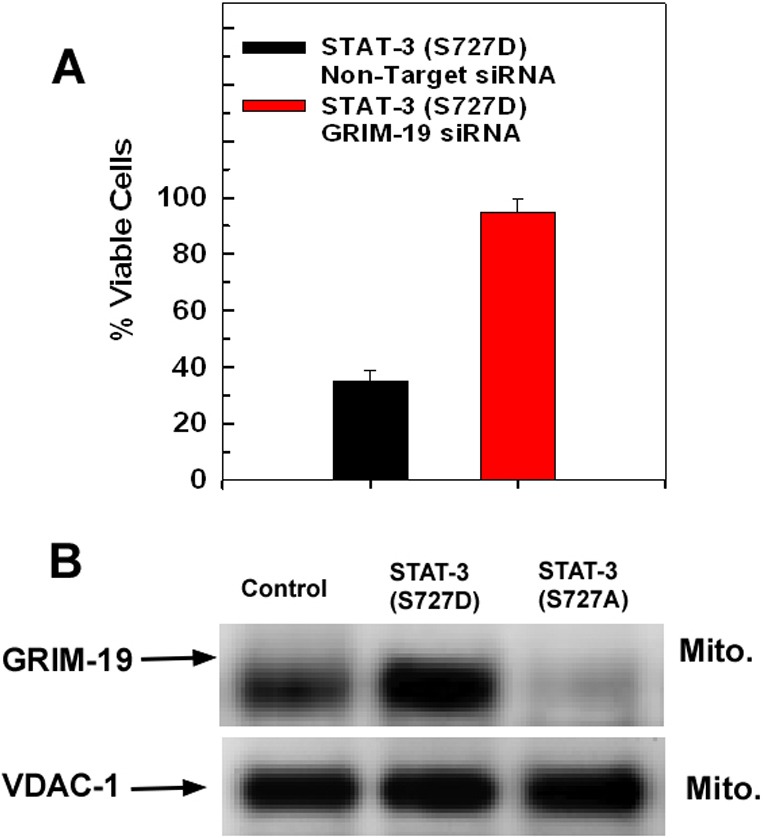 Fig. 8.