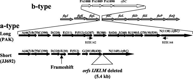 FIG. 3.