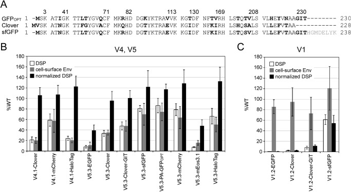 FIGURE 6.