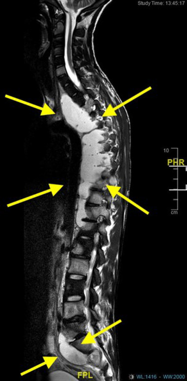 FIGURE 3