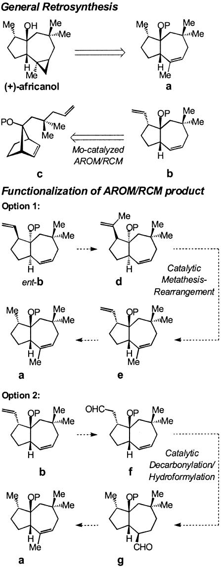 Scheme 5.