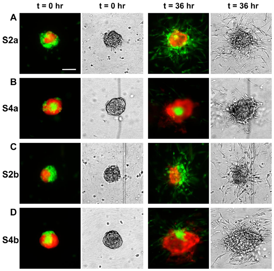 Figure 2: