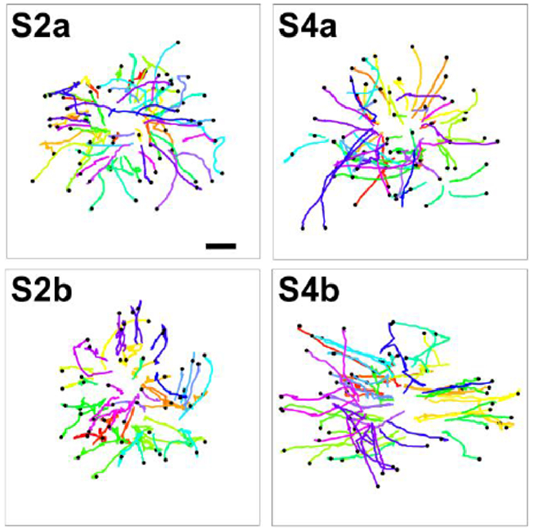 Figure 4: