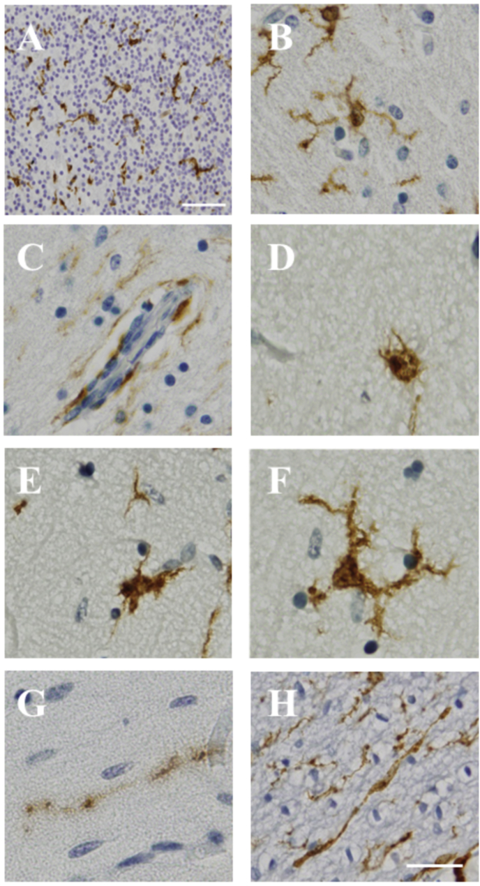 Fig. 1