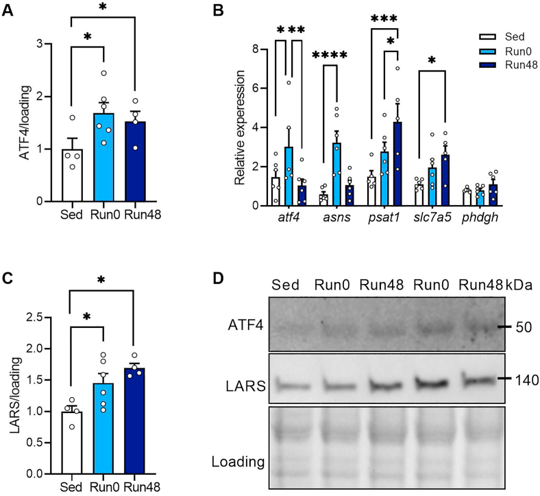 Figure 4