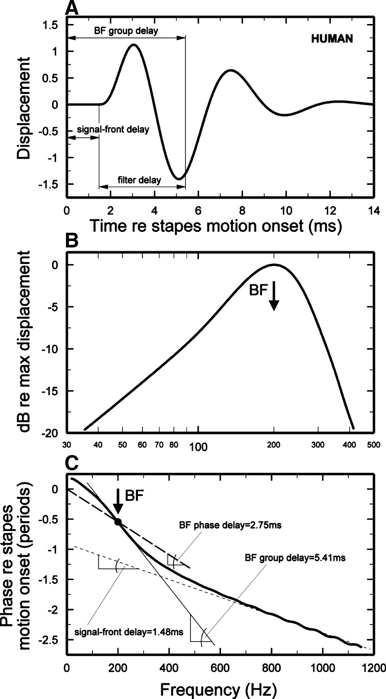 FIG. 1.