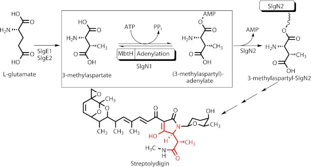 FIGURE 1.