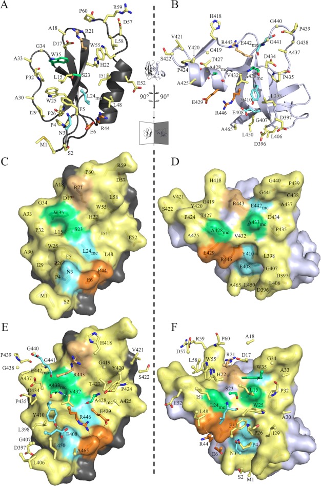 FIGURE 4.