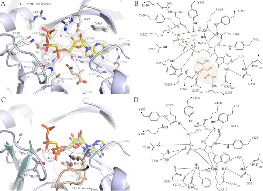 FIGURE 3.