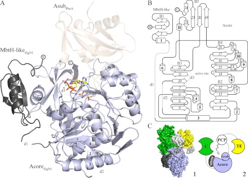 FIGURE 2.