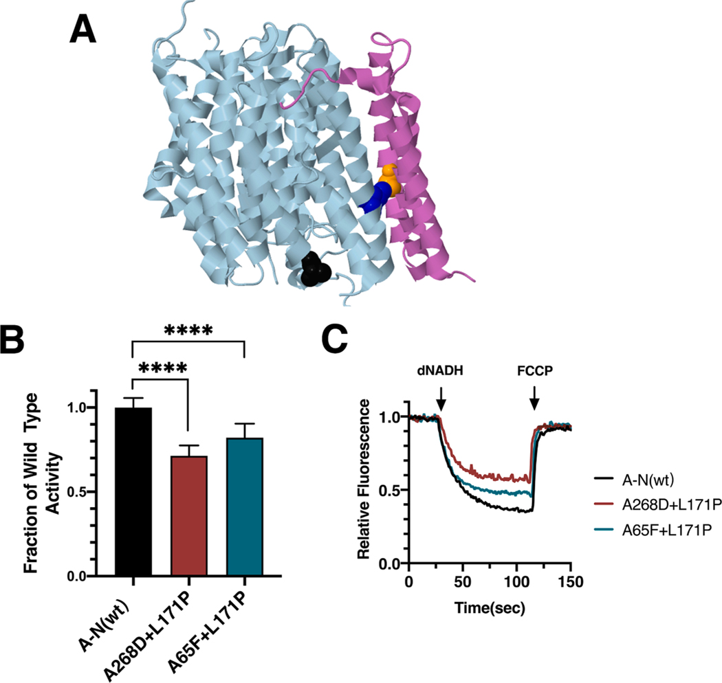 Fig. 7.