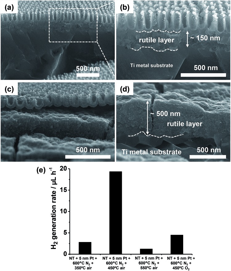 Fig. 12