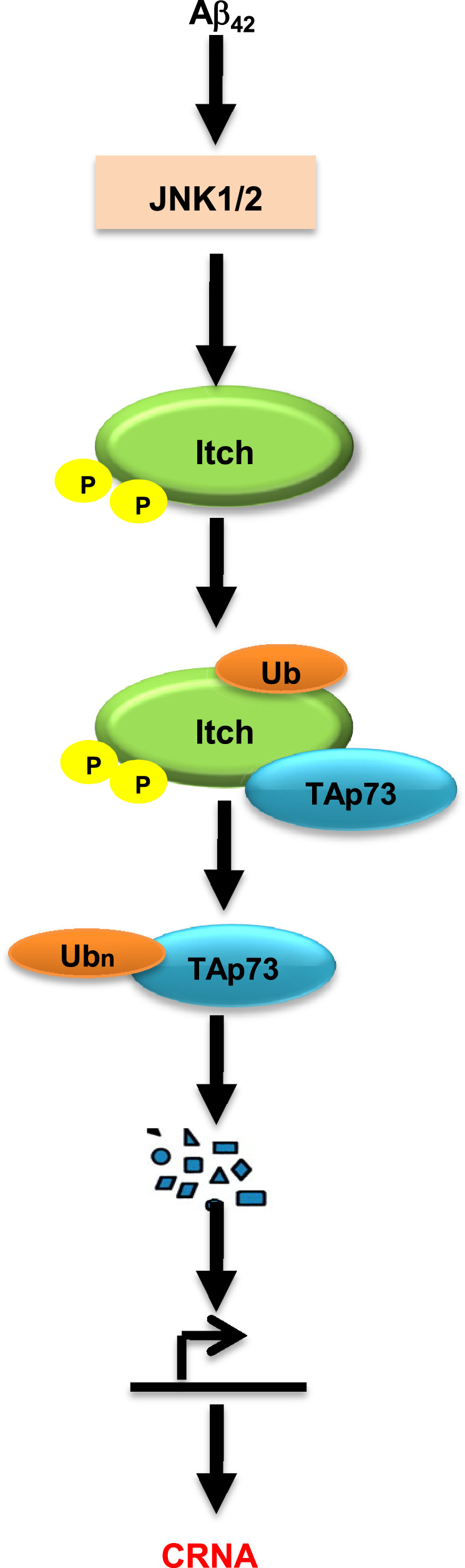 Fig. 6