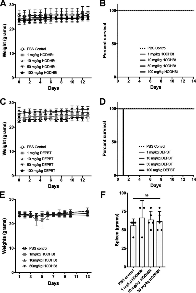 FIG 6