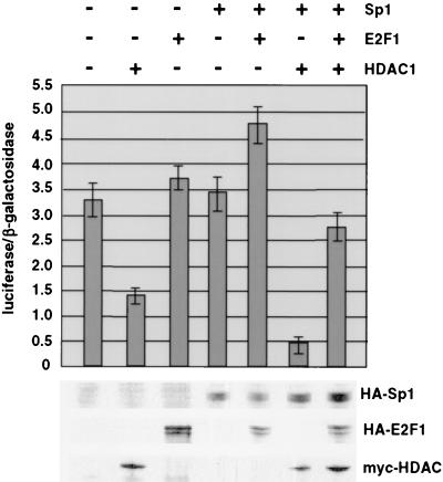 FIG. 7