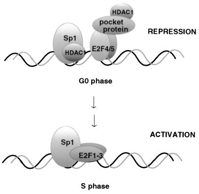 FIG. 8