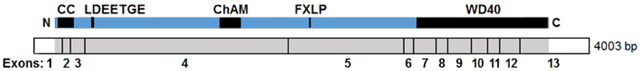 graphic file with name nihms-1029371-f0001.jpg