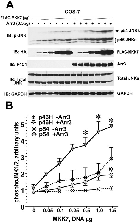 Figure 2.12.5