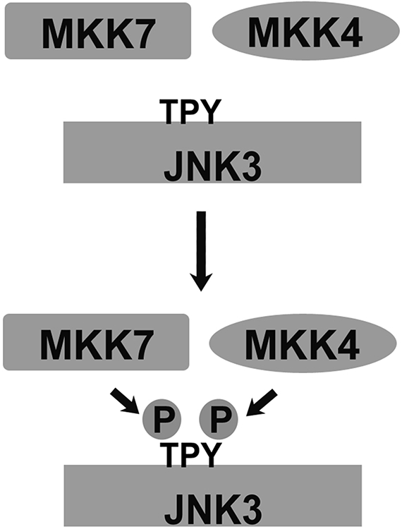 Figure 2.12.2