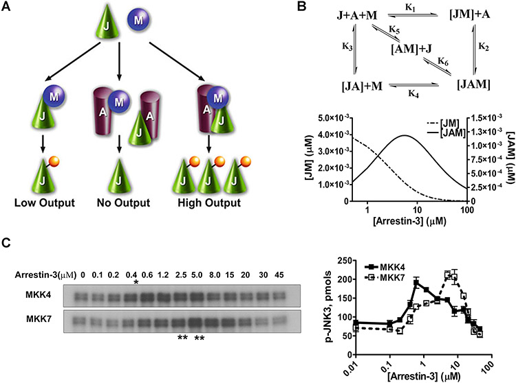 FIGURE 2.12.1