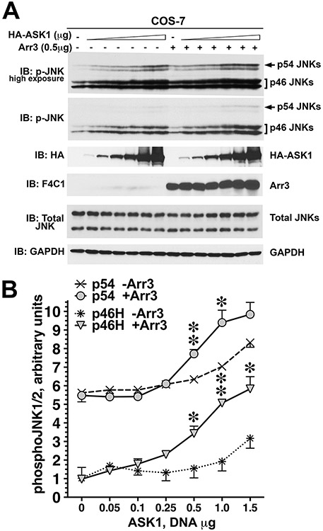 Figure 2.12.4