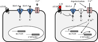 Fig. 8.