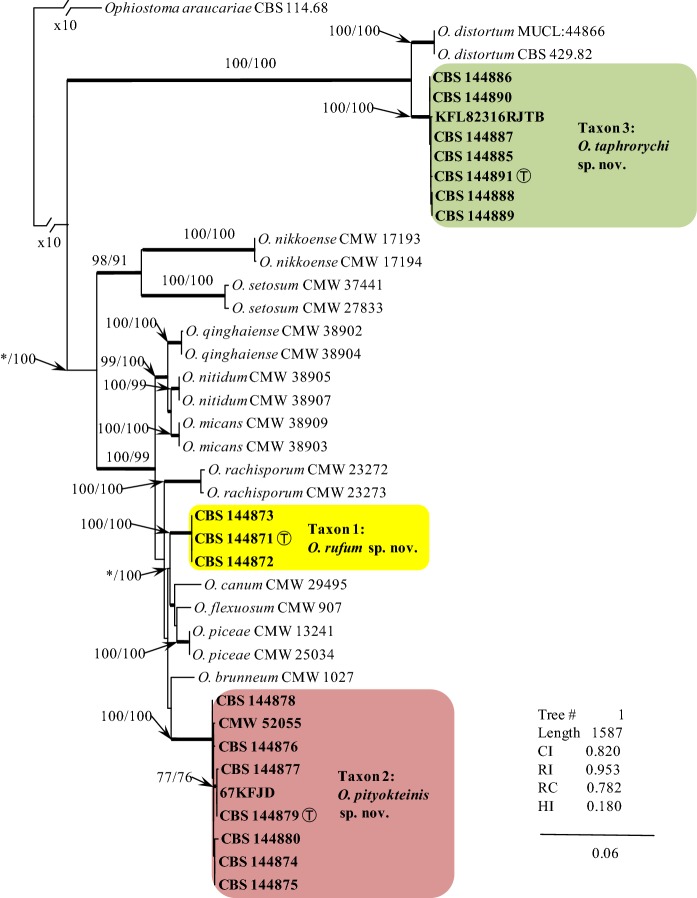 Fig. 3