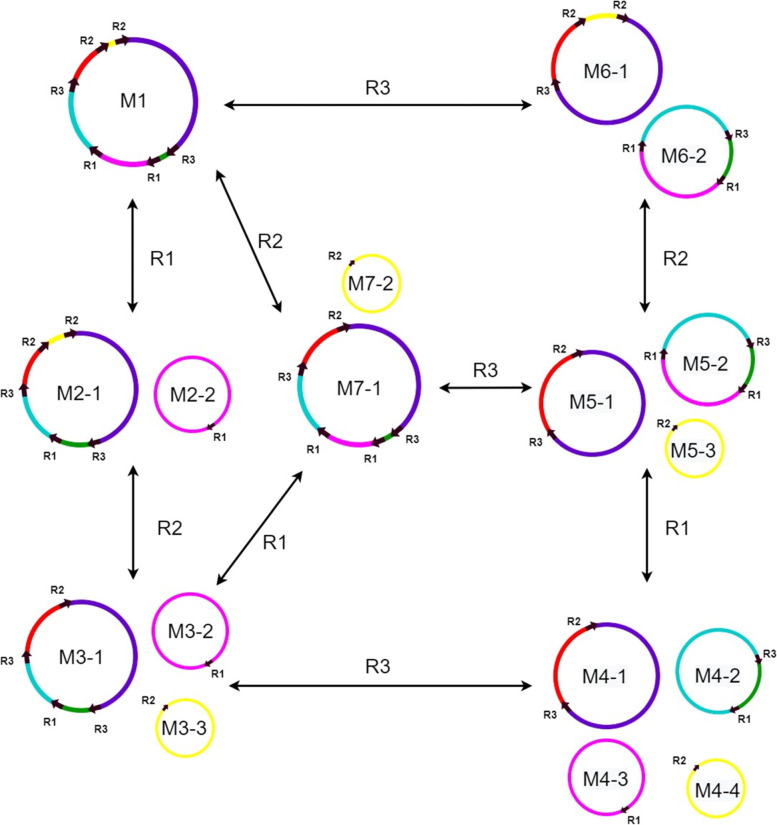 Fig. 3