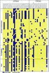 Figure  1