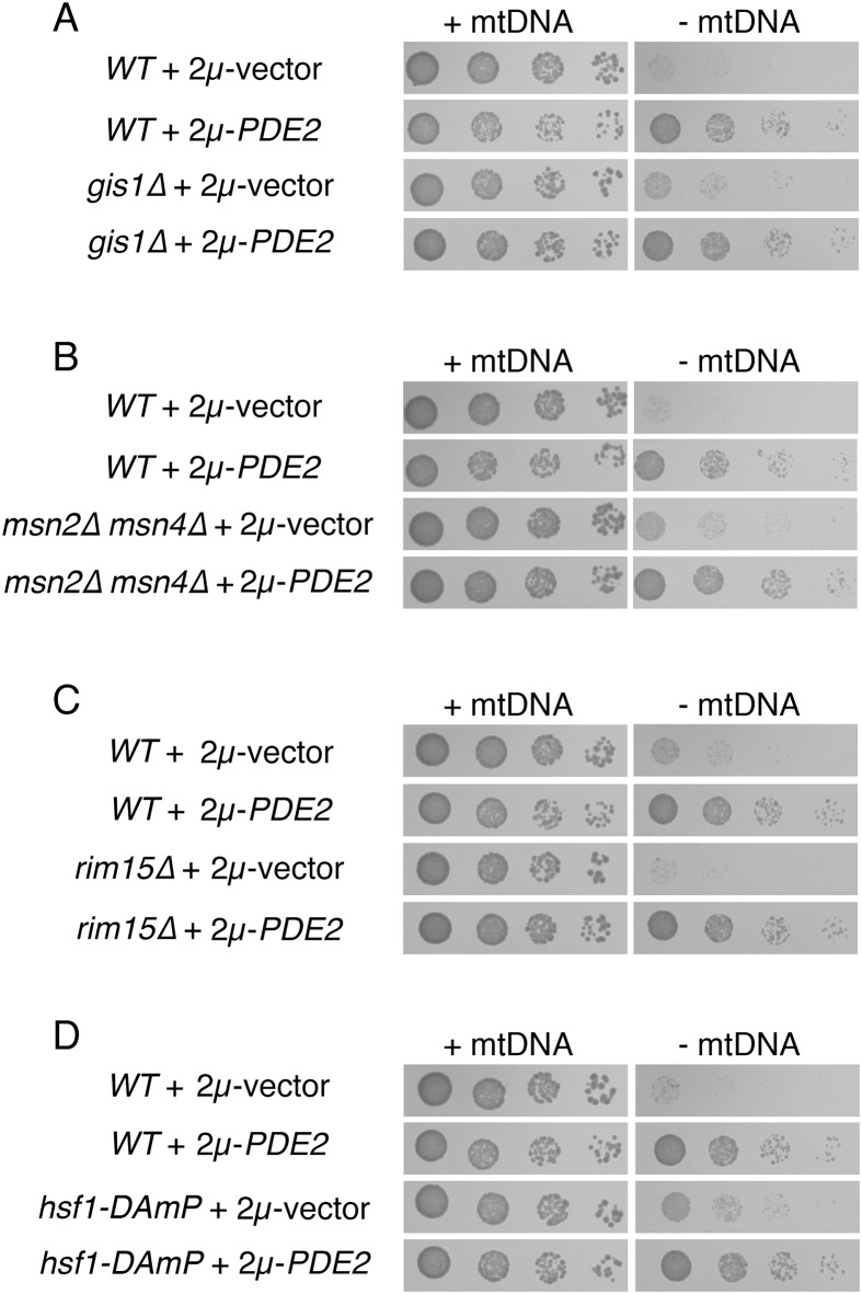 Fig 5